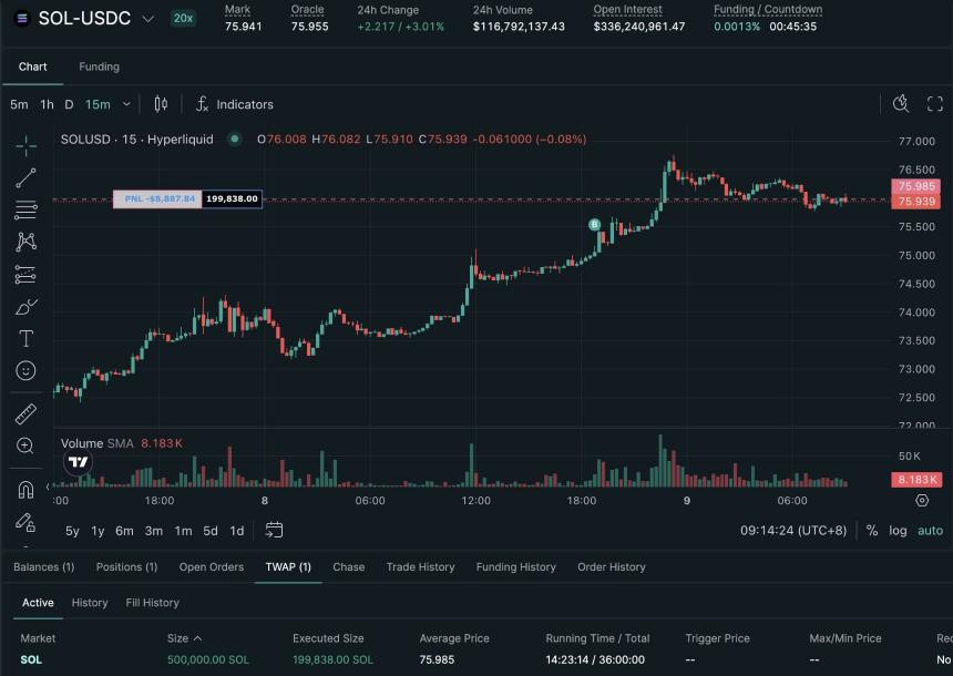 Whale long position on Solana