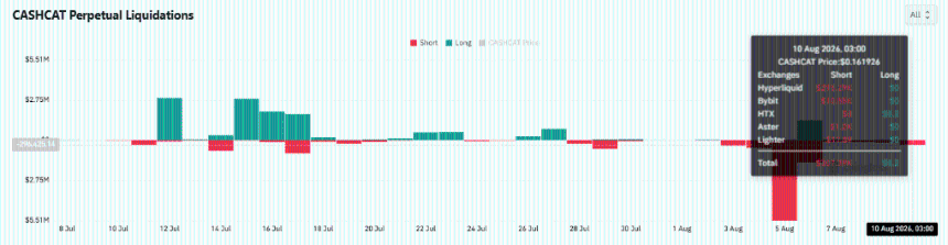 CASHCAT liquidations