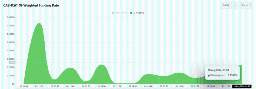 CASHCAT Open Interest