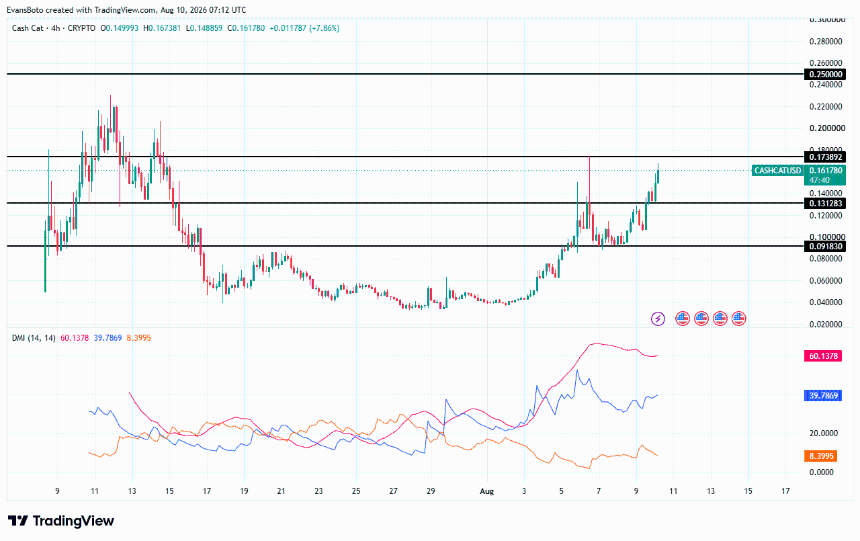 CASHCAT price action