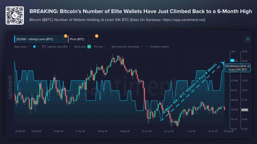 Santiment Bitcoin whale wallet count chart