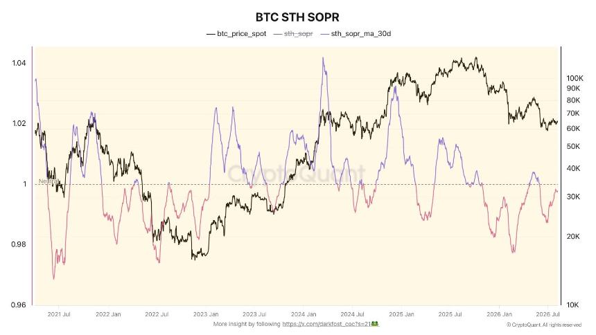 STH SOPR chart