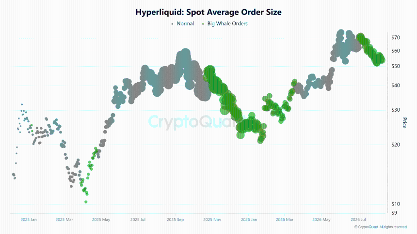 Hyperliquid spot average order size chart