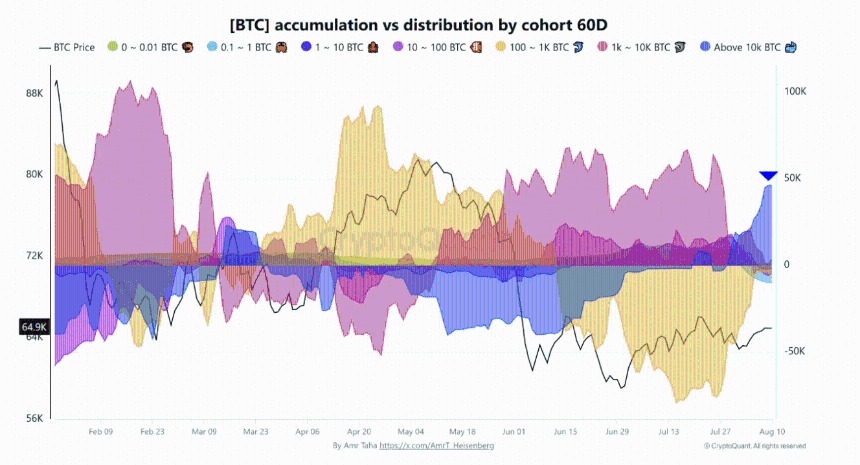 Accumulation vs. distribution