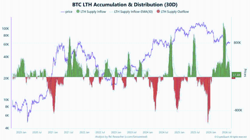 BTC LTH