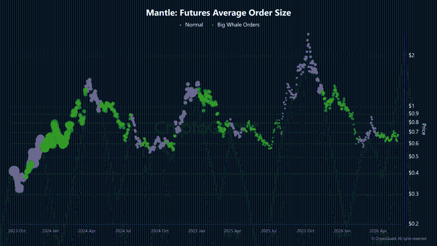 Mantle期货平均订单规模数据
