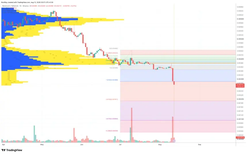 RVN 1-day price chart