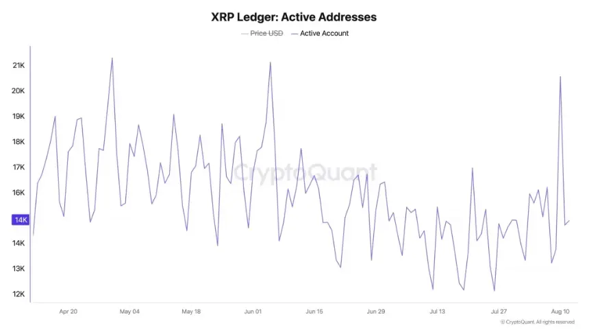 XRP Ledger活跃地址