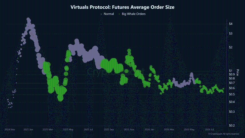 VIRTUAL Futures Average Order Size