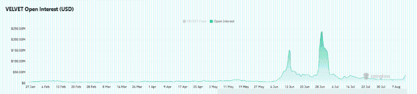 VELVET open interest and volume