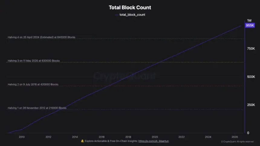 比特币减半背景下的总区块数，来源：Maartunn / CryptoQuant