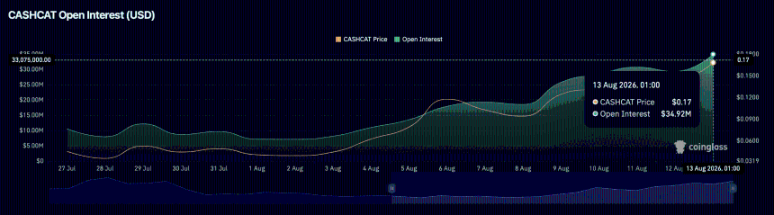 CASHCAT open interest flow