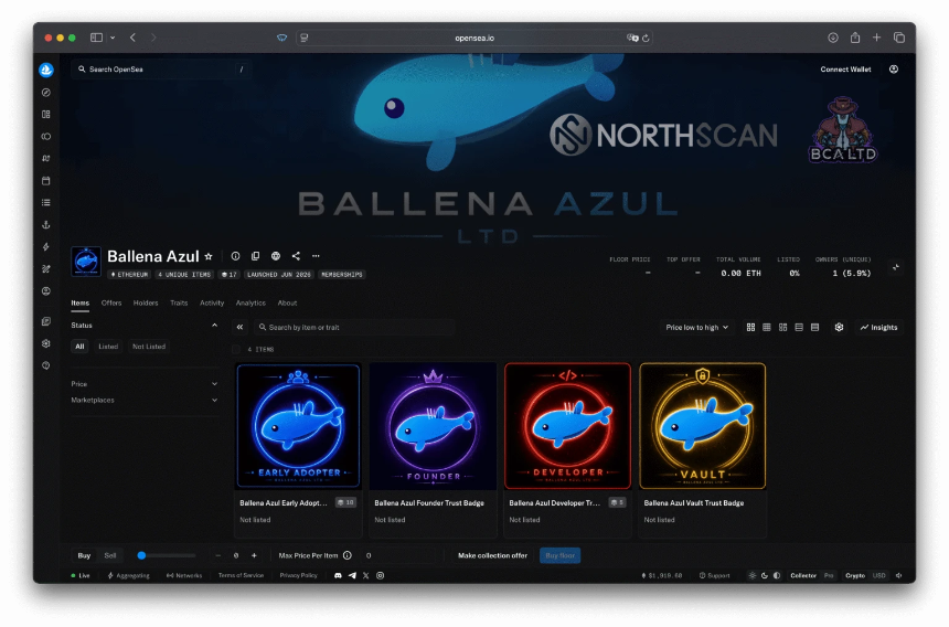 Ballena Azul LTD on OpenSea NFT Marketplace