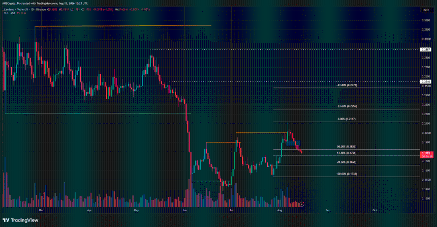 Cardano 1日图表