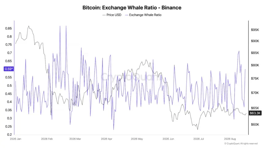Binance exchange whale ratio
