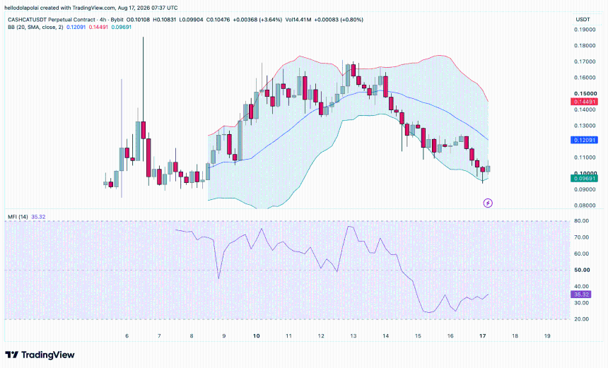 CASHCAT price chart