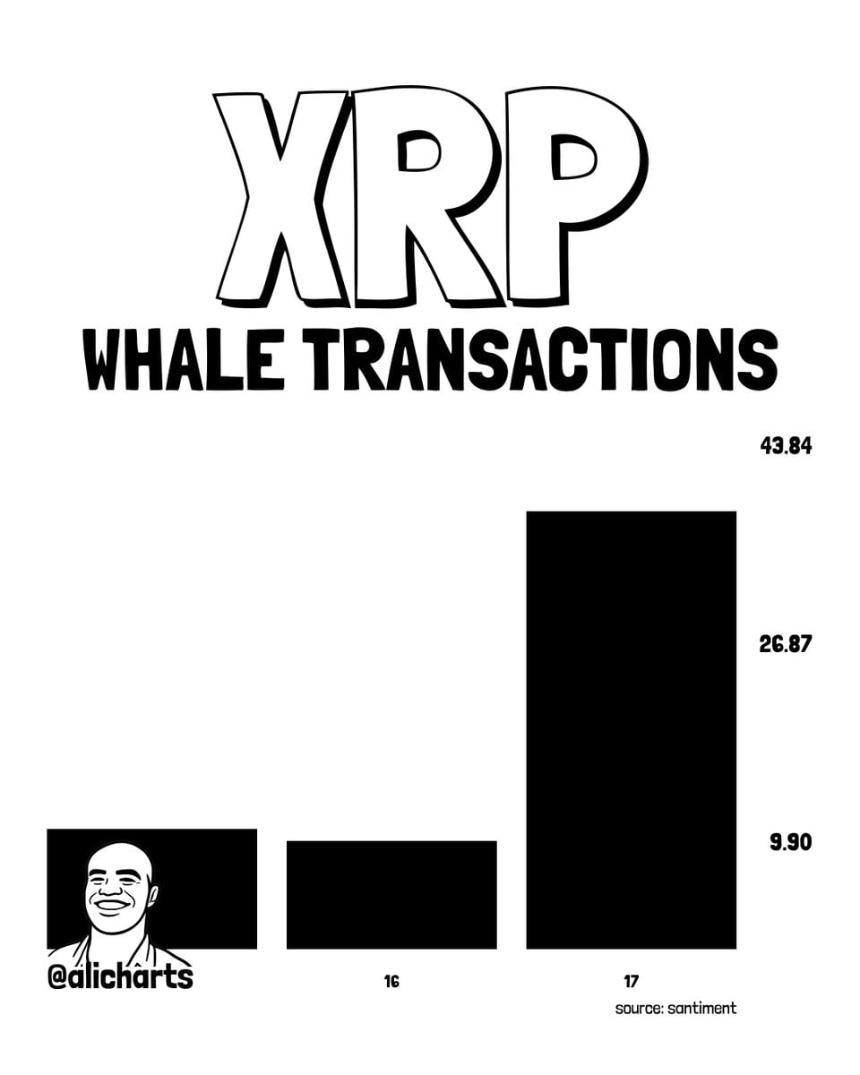 XRP whale transactions