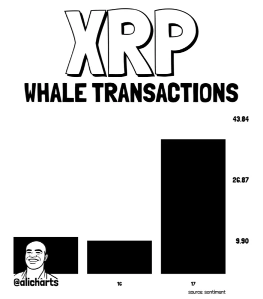XRP Hovers Near $1 as Whale Transactions Surge 280% and Open Interest Hits Two-Month High
