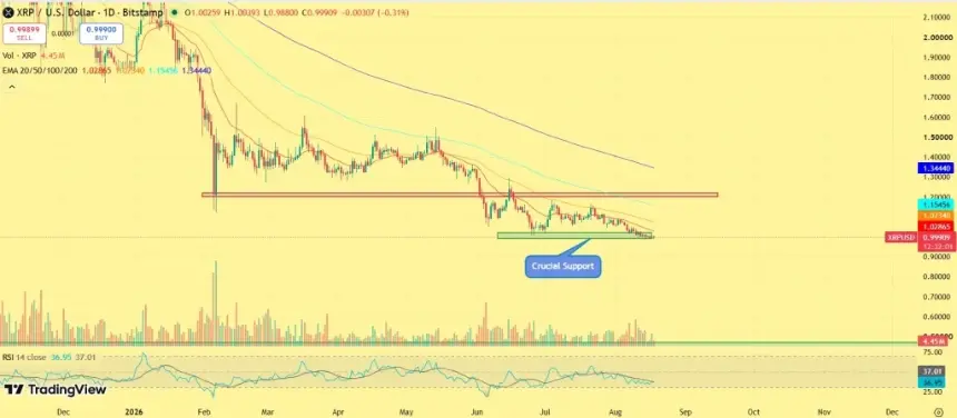 XRP Hovers Near $1 as Whale Transactions Surge 280% and Open Interest Hits Two-Month High