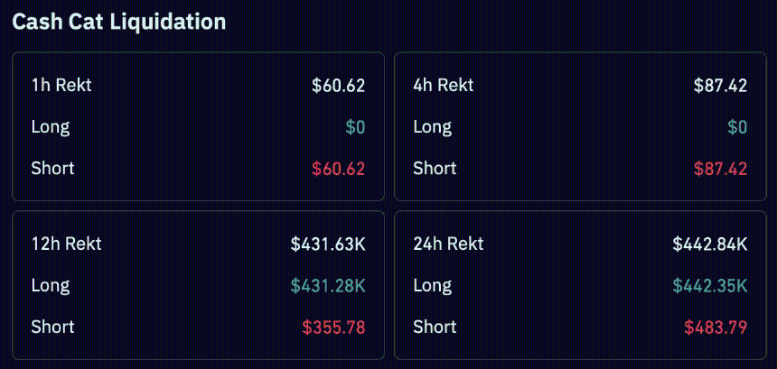 CASHCAT liquidation data