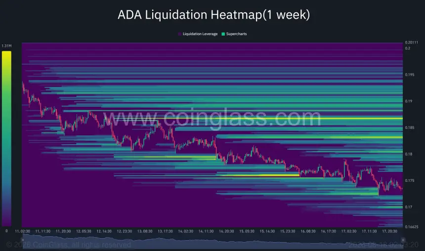 ADA一周清算热力图显示0.183至0.187美元之间存在大量上行流动性集群,0.170美元和0.166美元附近流动性较低