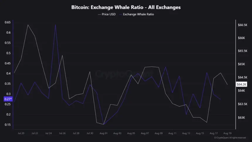Bitcoin whale activity chart
