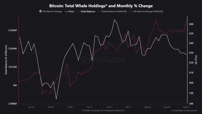 Bitcoin whales