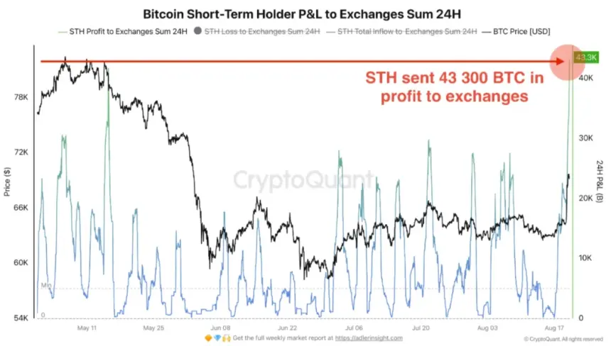 Bitcoin STH profit and loss to exchanges