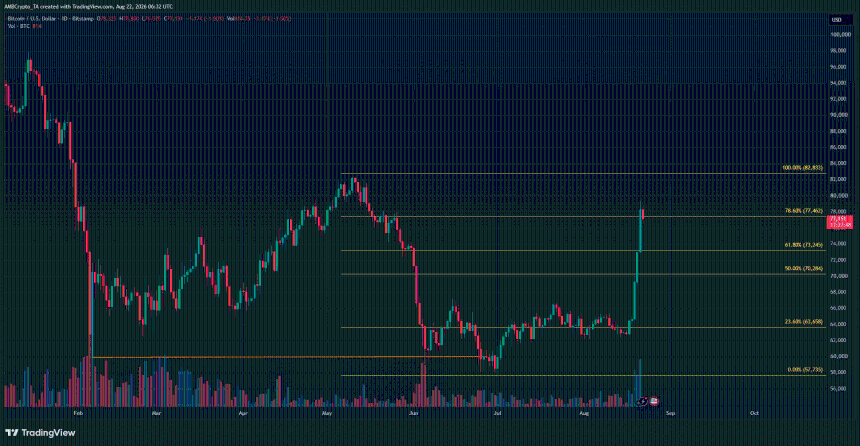 Bitcoin 1-day Chart