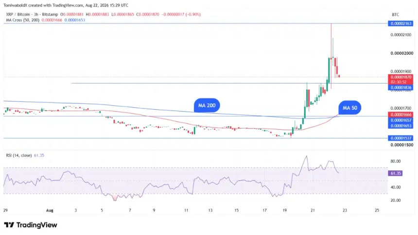 TradingView