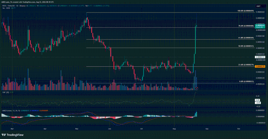 PEPE 1-day Chart