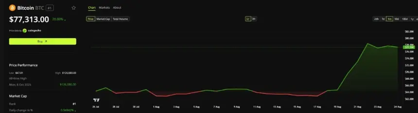 Bitcoin Price Performance