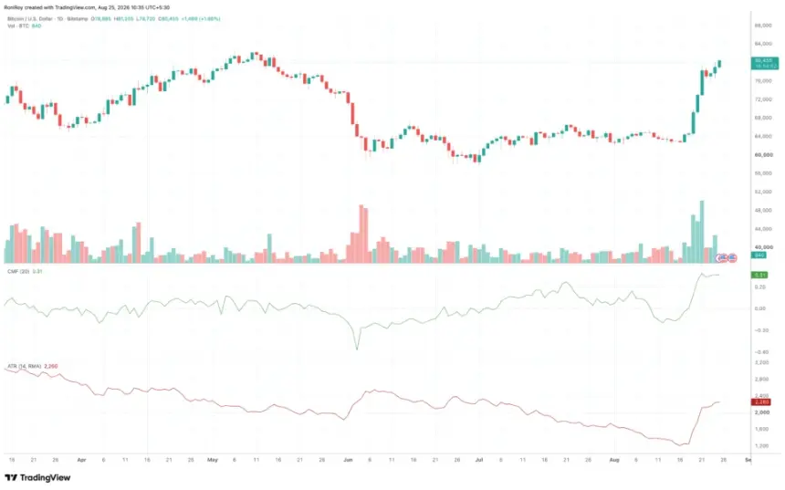 BTC 1-day price chart with RSI