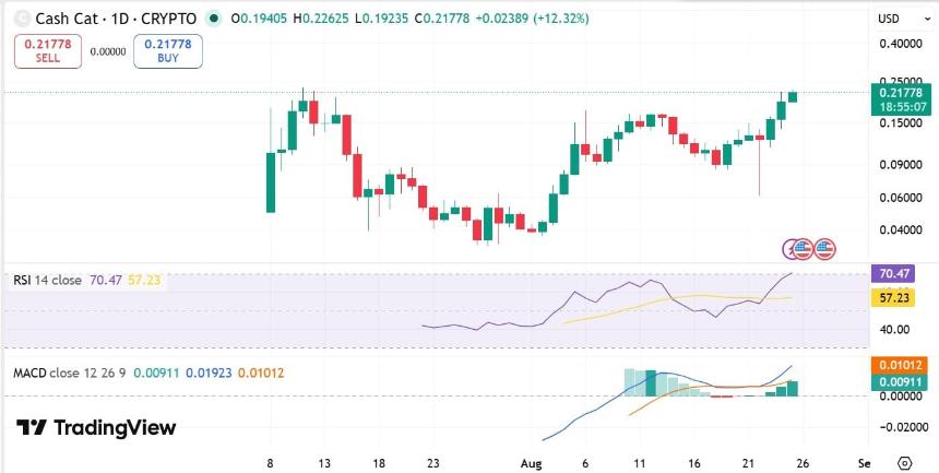CASHCAT RSI & MACD