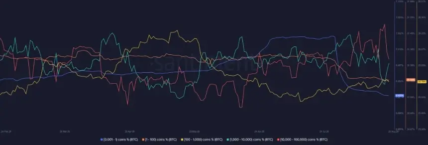 Bitcoin whale distribution chart