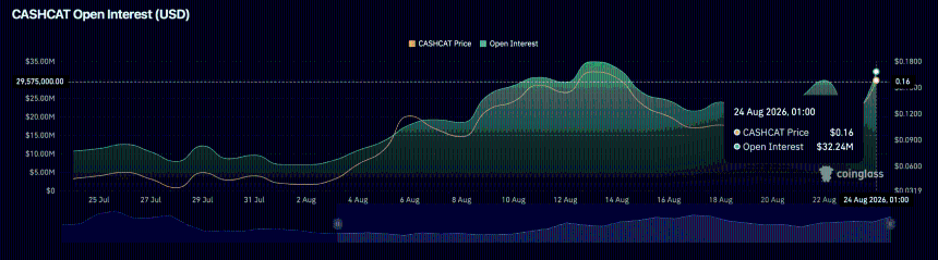 cashcat open interest chart