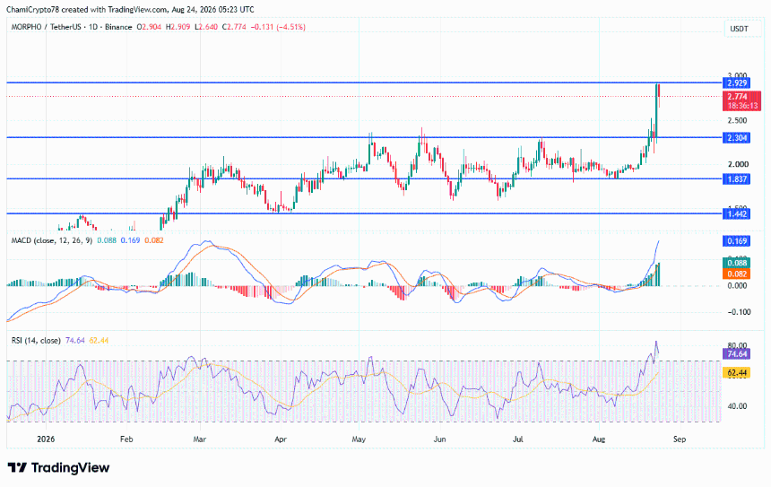 MORPHO price action