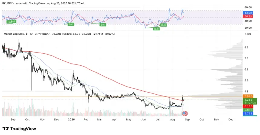 Shiba Inu market cap chart