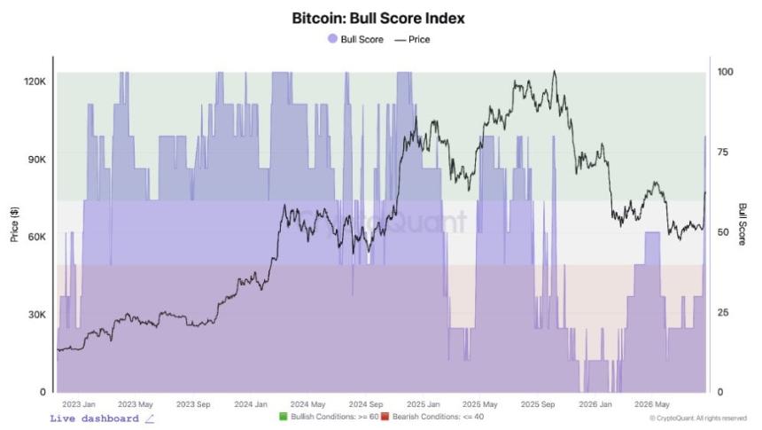 Bitcoin STH Profitability Chart