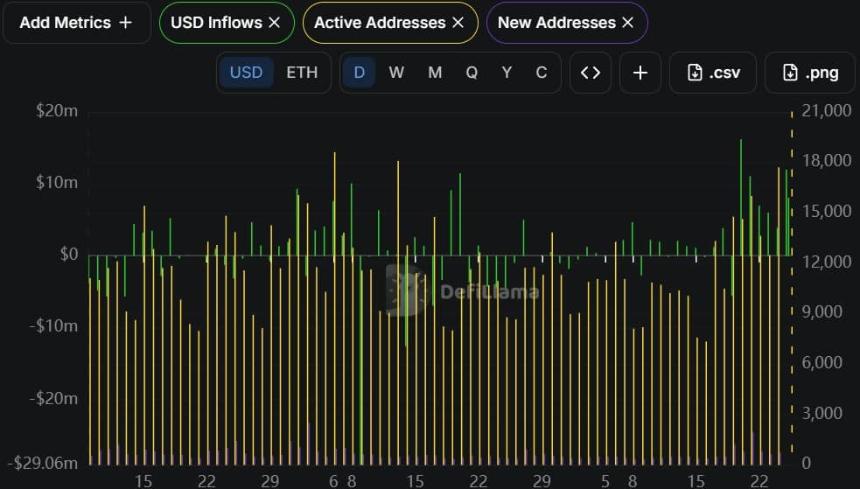Lighter onchain activity