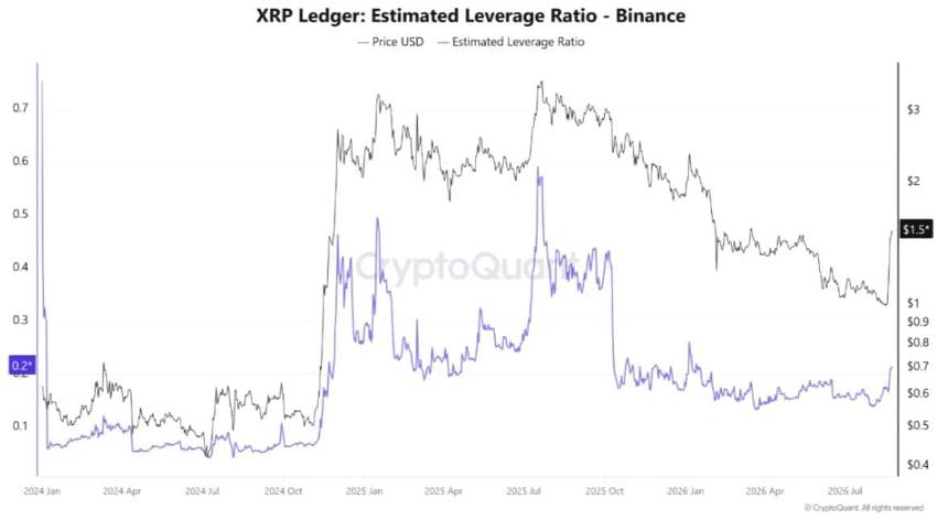 XRP leverage ratio