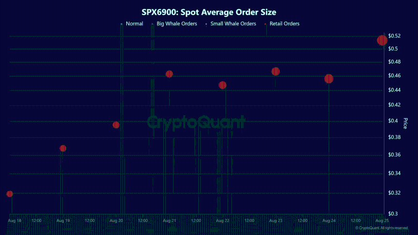 SPX6900 Spot Average Order Size