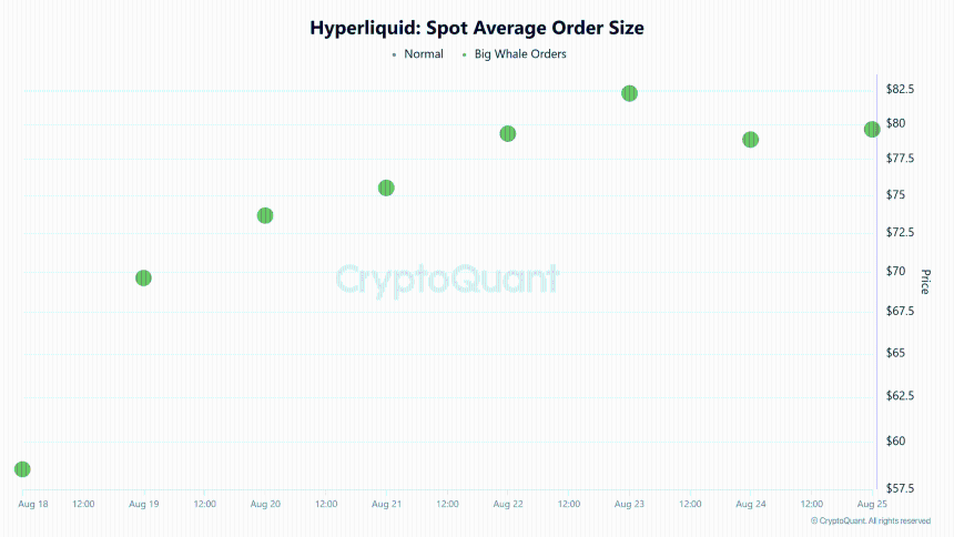 Hyperliquid Spot Average Order Size