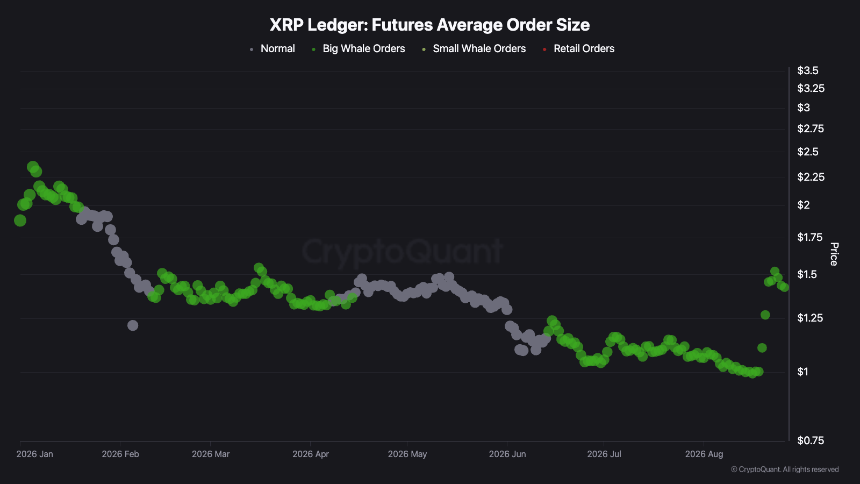 XRP Derivatives See Heaviest Sell Pressure of 2025 as Open Interest and Whale Activity Rise