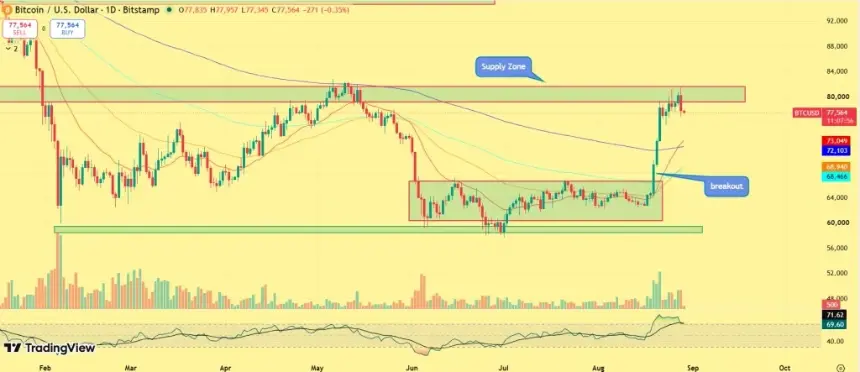 Bitcoin Holds Key $73K Support as Whales Absorb Retail Selling — $100K Now in Play?
