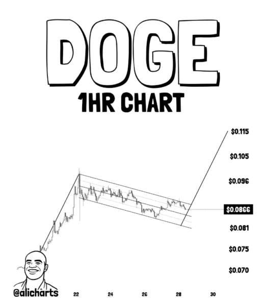 Dogecoin Holds Key $0.081 Support, Bullish Flag Eyes 28% Rally Toward $0.115