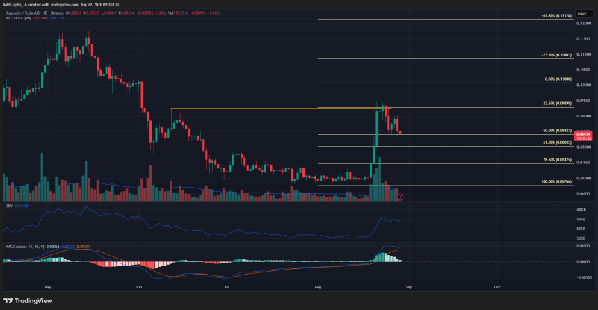 Dogecoin 1-day Chart