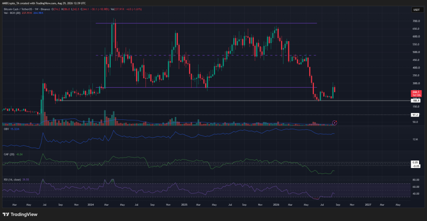 Bitcoin Cash 1-week Chart