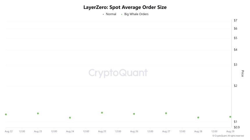 LayerZero Spot Average Order Size
