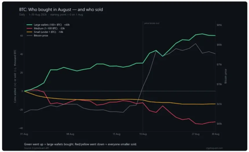 Bitcoin accumulation data by wallet cohort